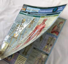 Load image into Gallery viewer, Anatomy Fundamentals: Life Science (8.5x11)