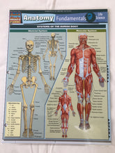 Load image into Gallery viewer, Anatomy Fundamentals: Life Science (8.5x11)
