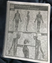 Load image into Gallery viewer, 2025 Traveler-Appointment Book/Planner, Spiral (8.5x11)
