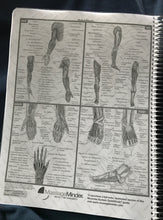 Load image into Gallery viewer, 2025 Traveler-Appointment Book/Planner, Spiral (8.5x11)
