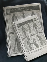 Load image into Gallery viewer, 2024 Little Traveler-Appointment Book/Planner, Spiral (5.5x8.5)
