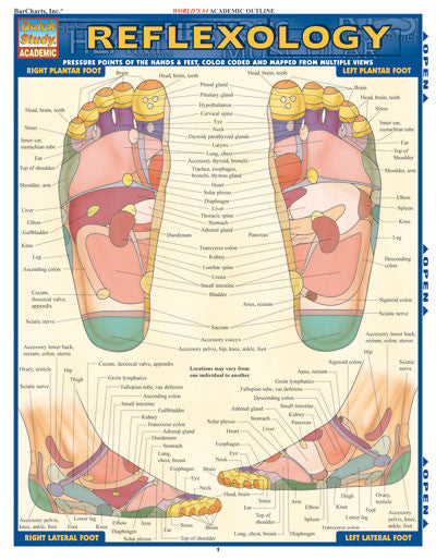 Reflexology  Chart (8.5x11)